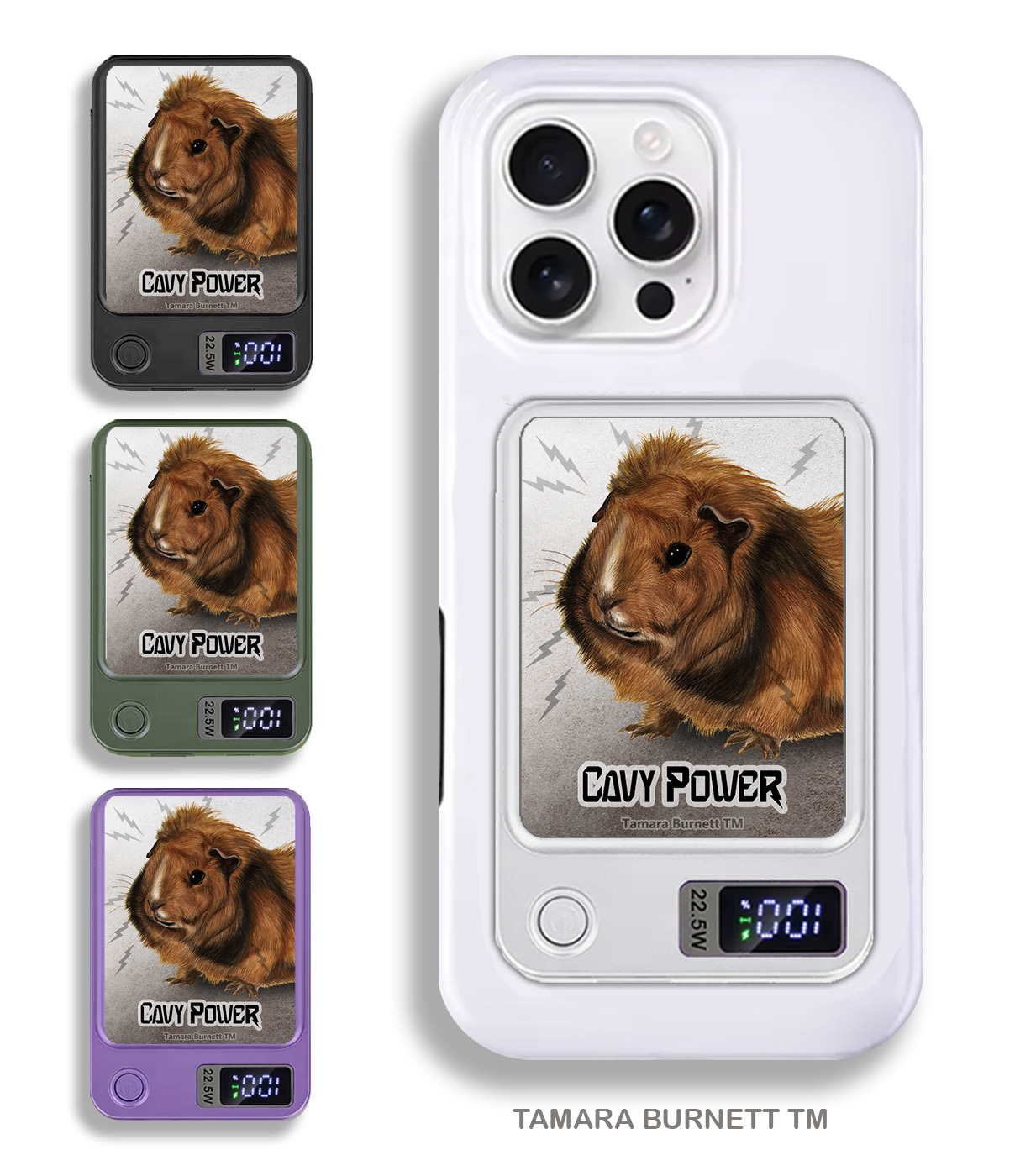 An image of product 33498 - Guinea Pig Abyssinian - Phone Bank