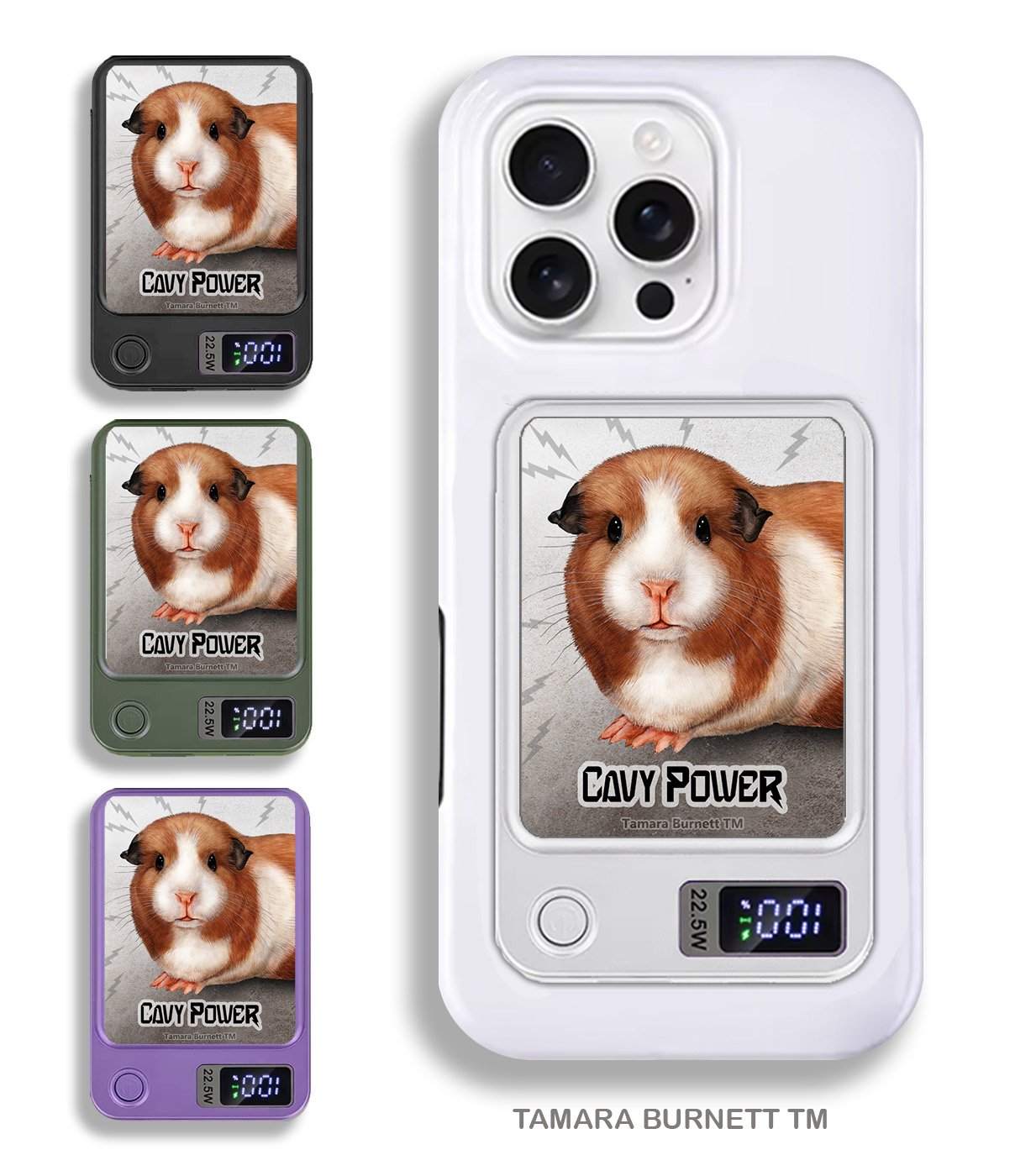 An image of product 33499 - Guinea Pig American - Phone Bank