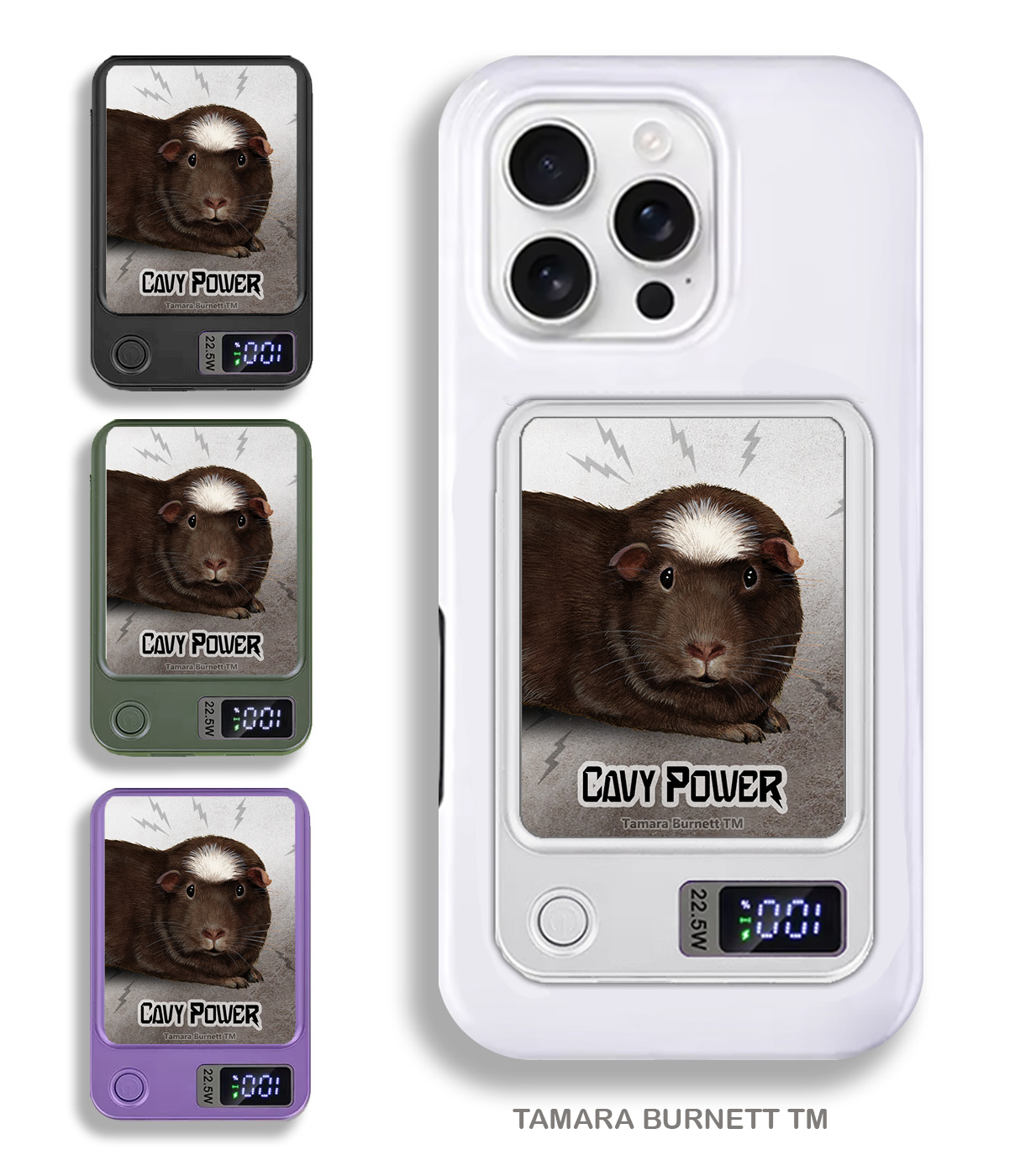Guinea Pig Chocolate Crested - Phone Bank image