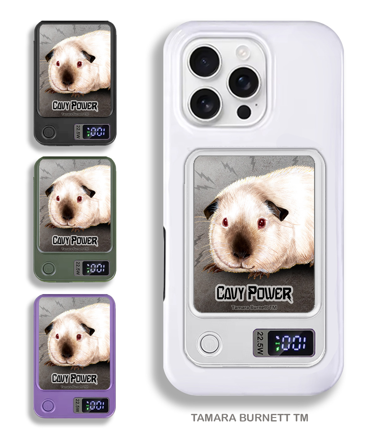An image of product 33502 - Guinea Pig Himalayan - Phone Bank