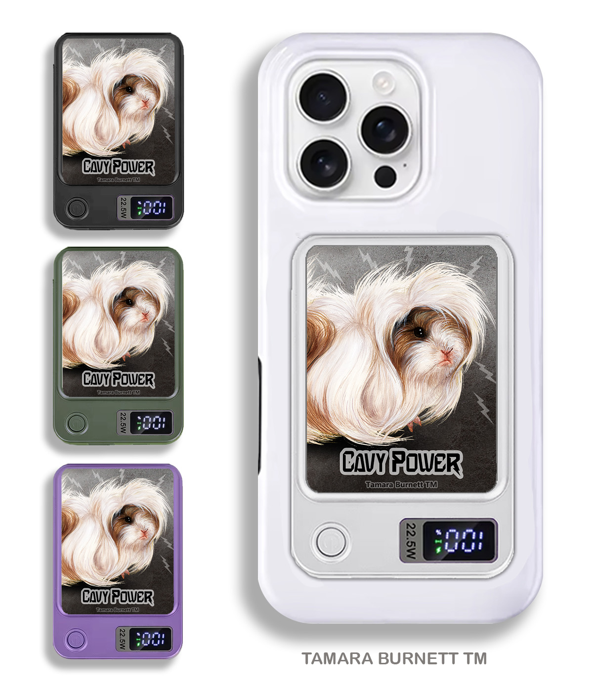 An image of product 33503 - Guinea Pig Peruvian - Phone Bank