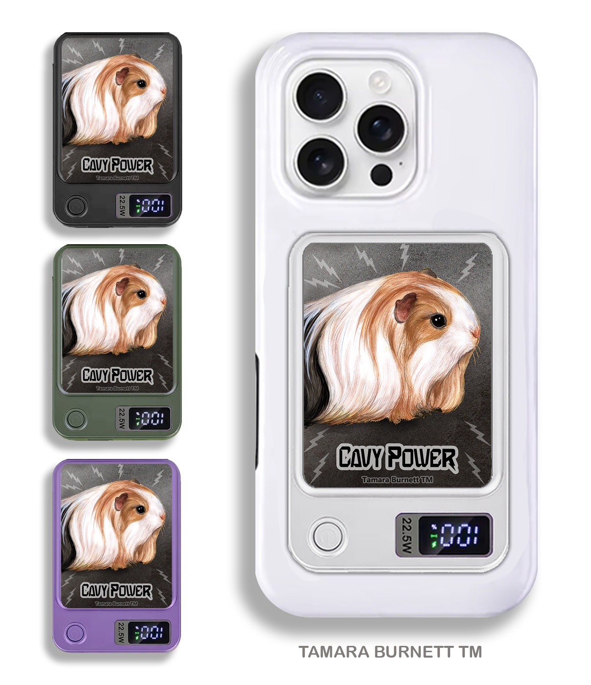An image of product 33505 - Guinea Pig Silkie - Phone Bank