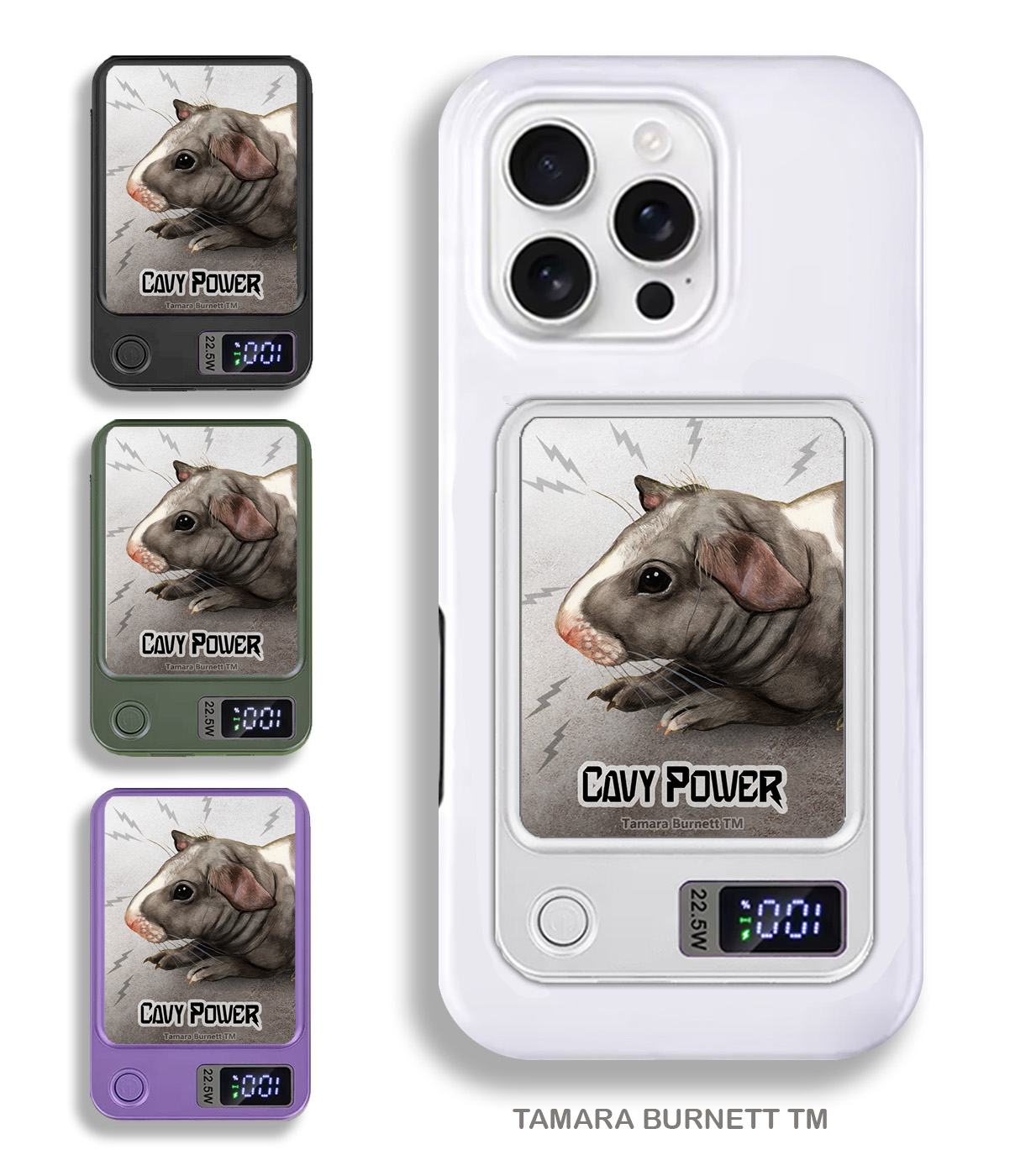 An image of product 33506 - Guinea Pig Skinny Hairless - Phone Bank