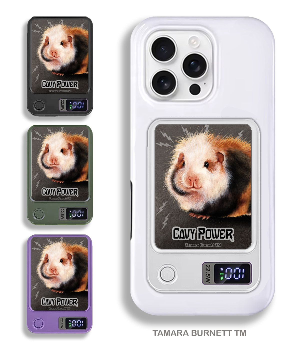 An image of product 33507 - Guinea Pig Teddy - Phone Bank