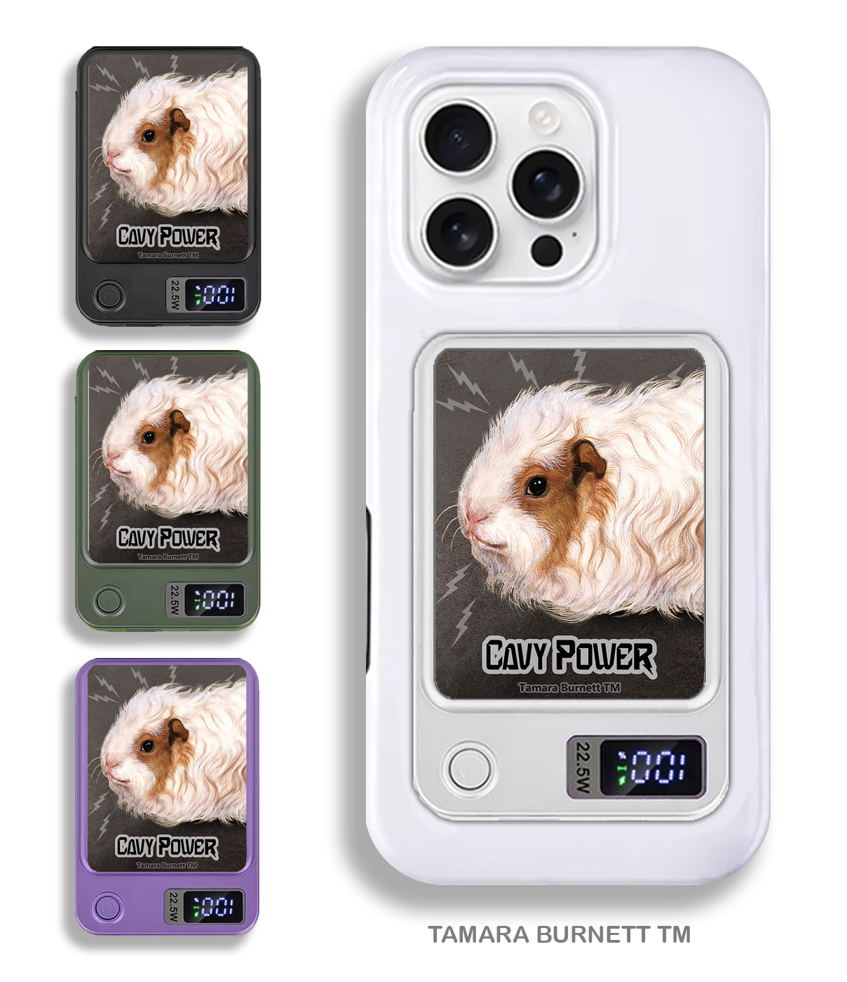 An image of product 33508 - Guinea Pig Texel - Phone Bank