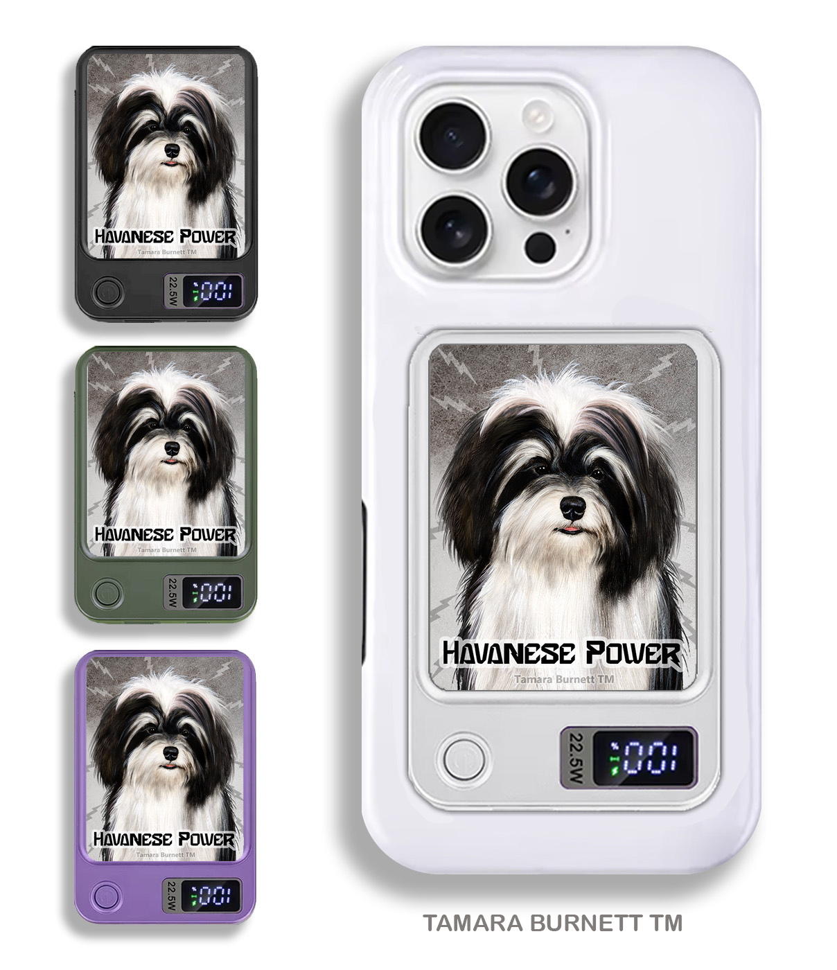 An image of product 33900 - Havanese Black and White - Phone Bank