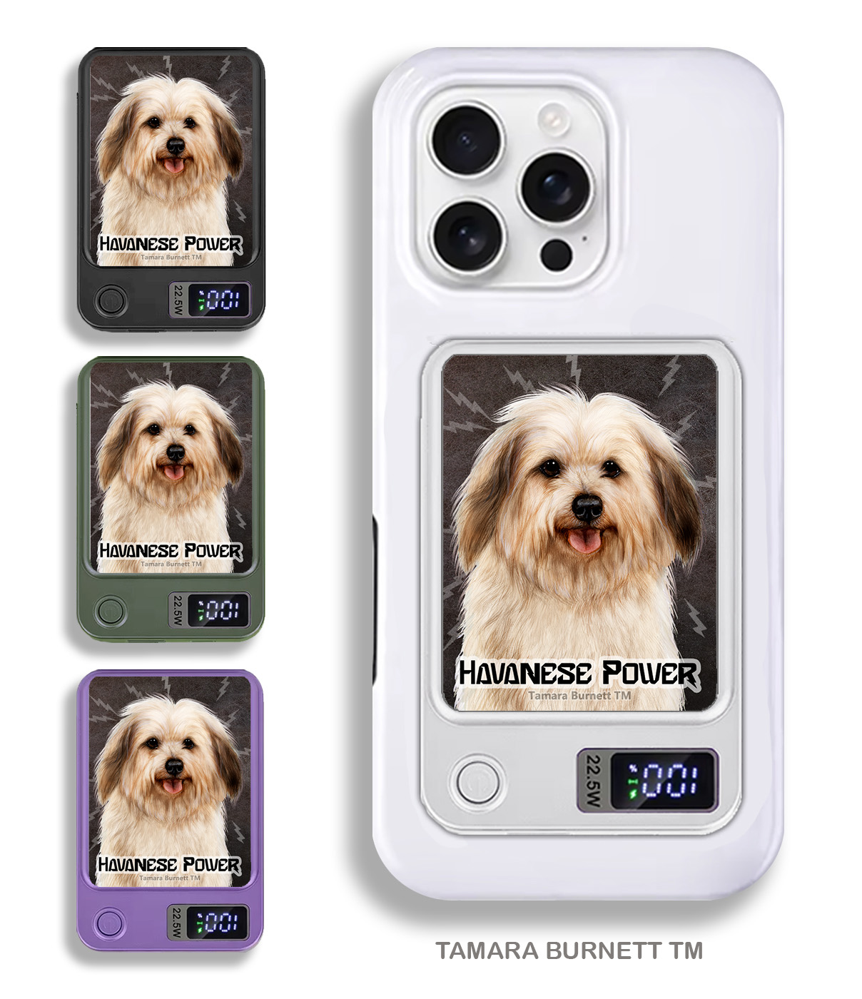 An image of product 33901 - Havanese Cream Sable (Long) - Phone Bank