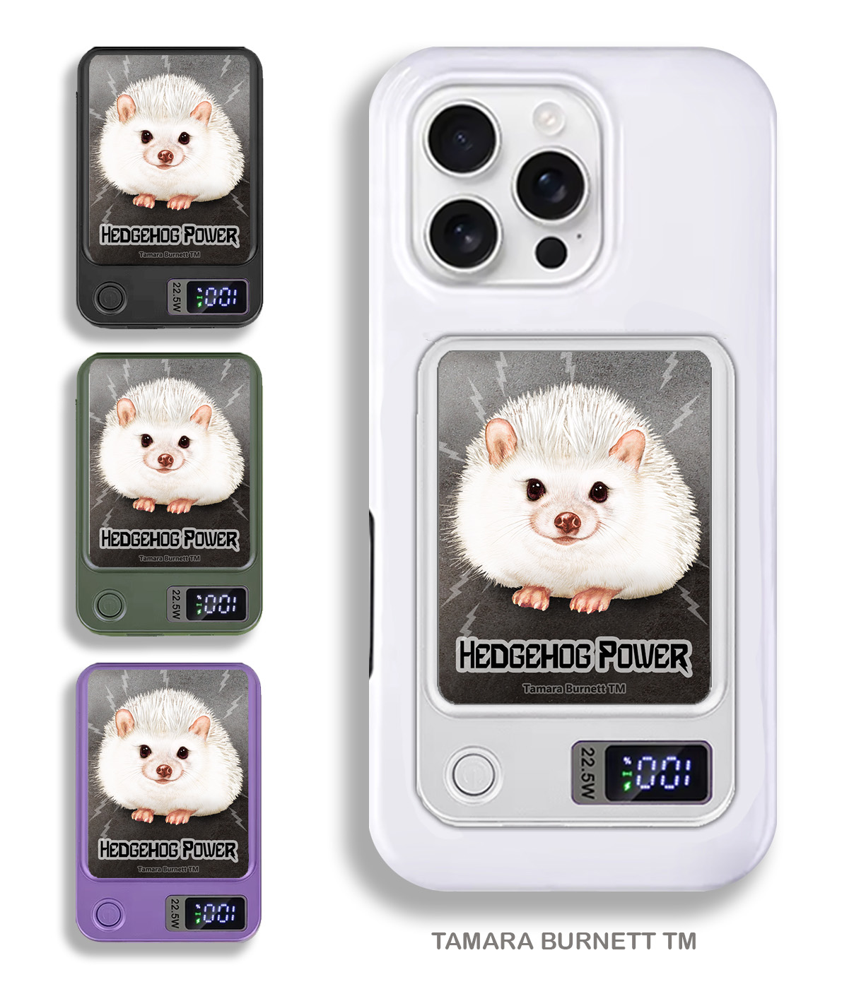 An image of product 33465 - Hedgehog Black Eyed White (Leucistic) - Phone Bank