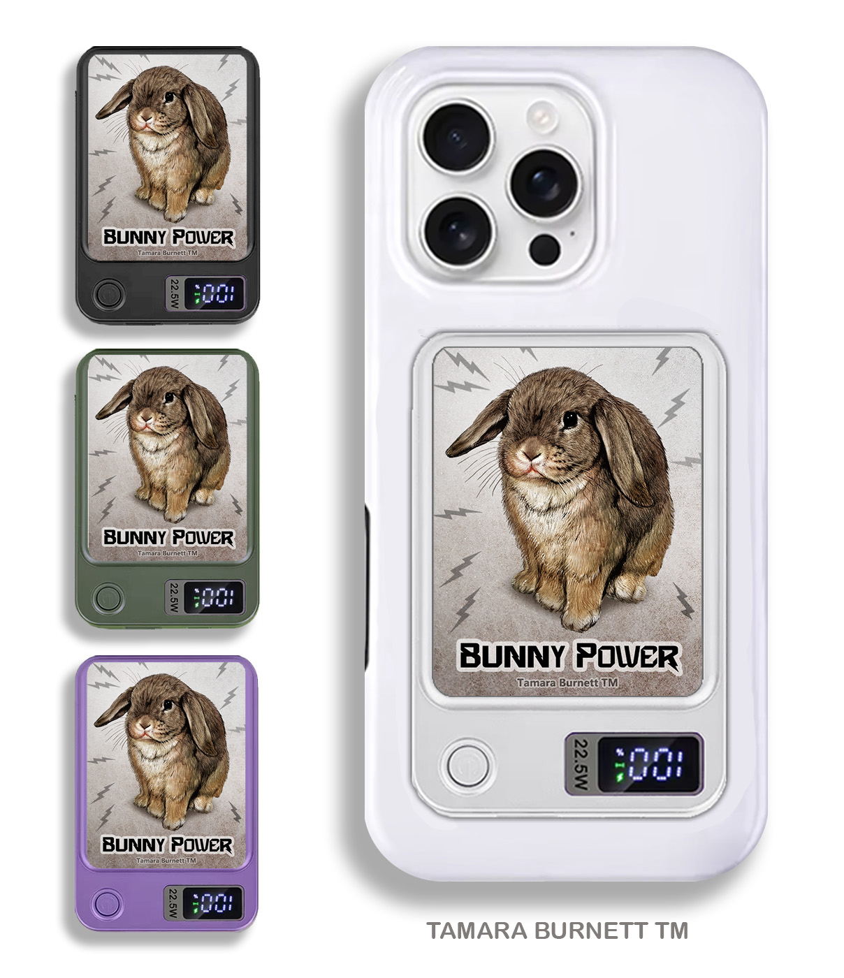 An image of product 33474 - Rabbit Mini Lop Agouti - Phone Bank