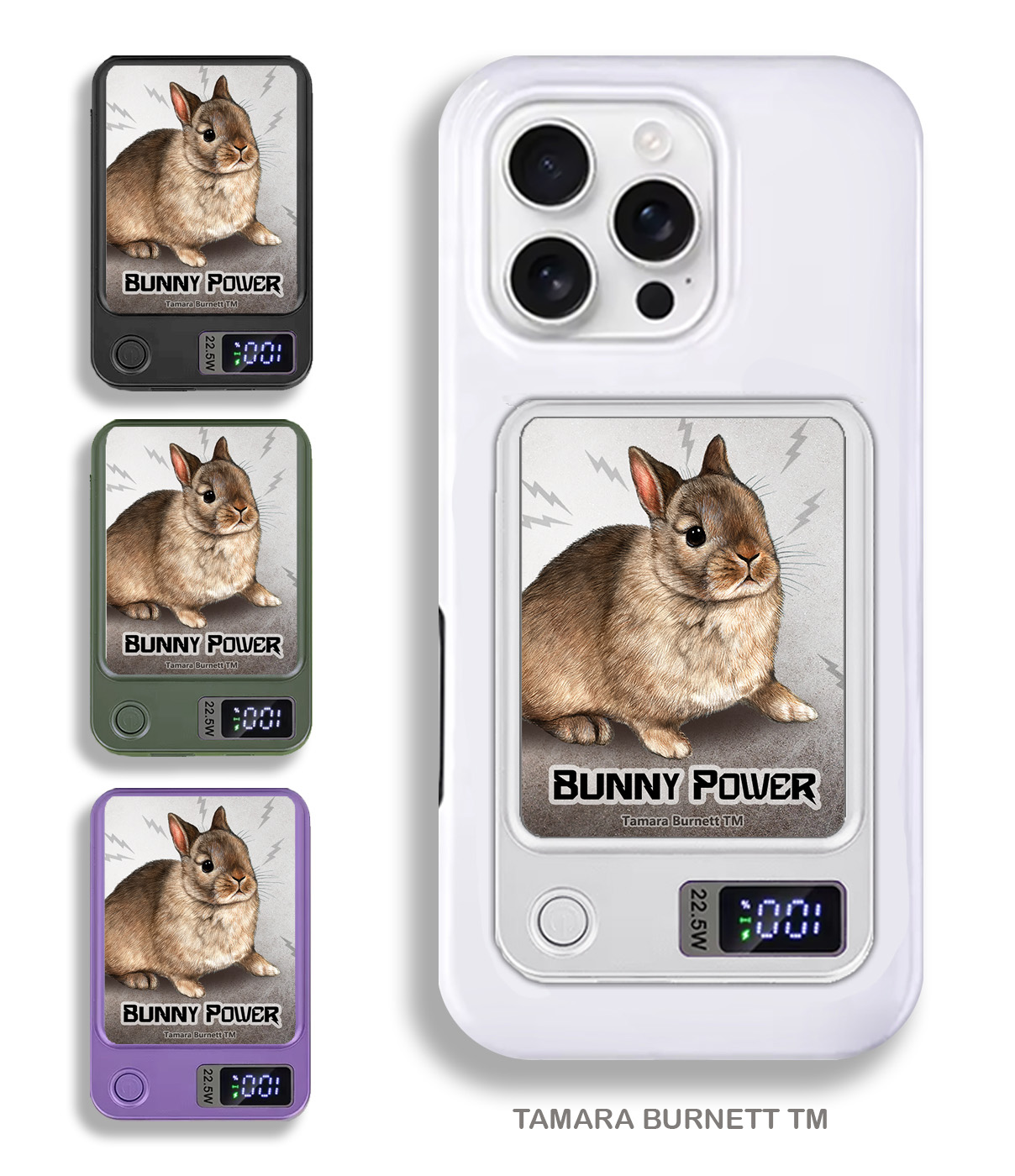 An image of product 33481 - Rabbit Netherland Dwarf Agouti - Phone Bank