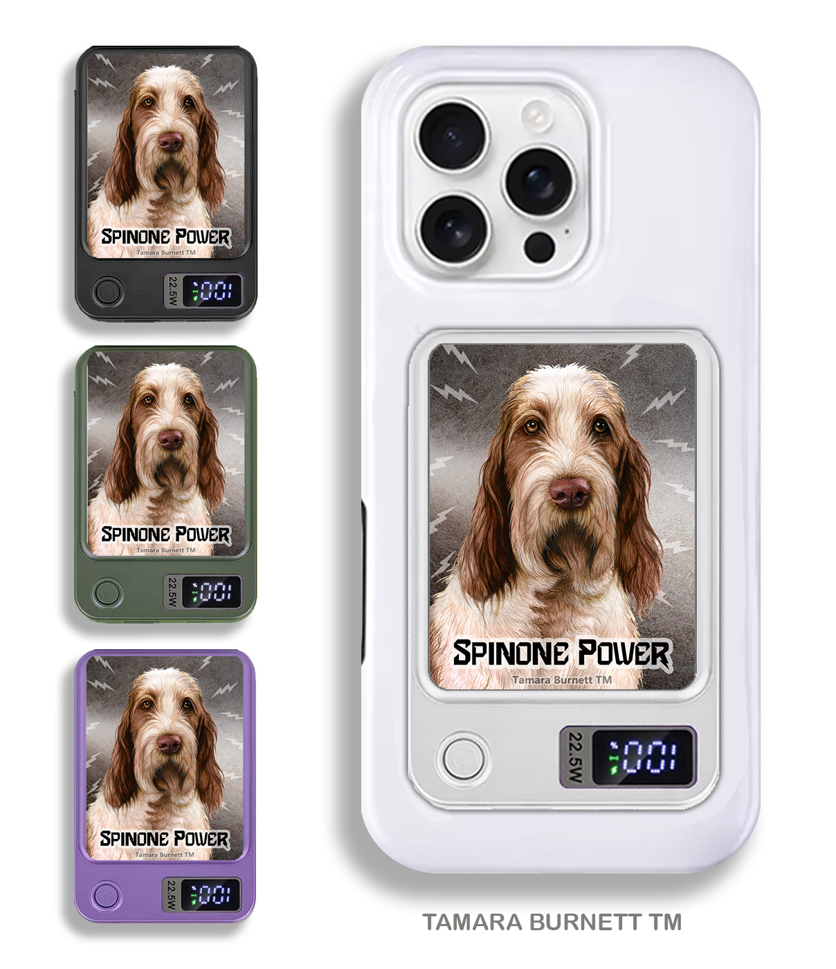An image of product 34121 - Spinone Italiano Brown and White - Phone Bank