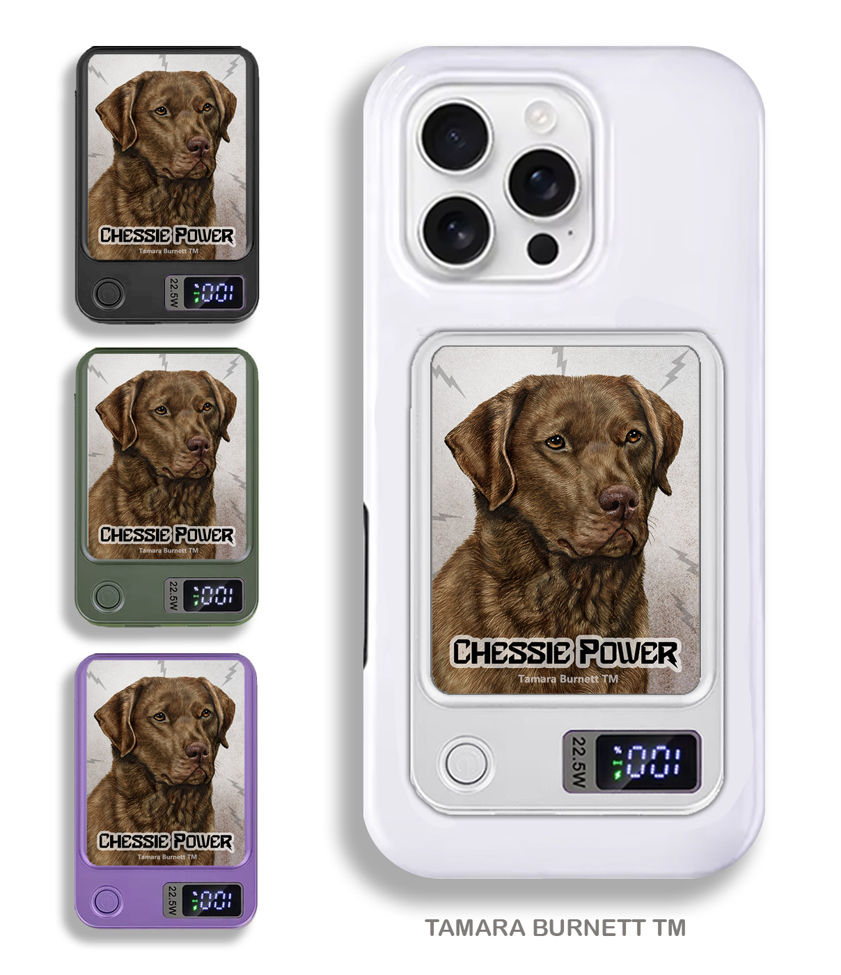 An image of product 33721 - Chesapeake Retriever Brown - Phone Bank