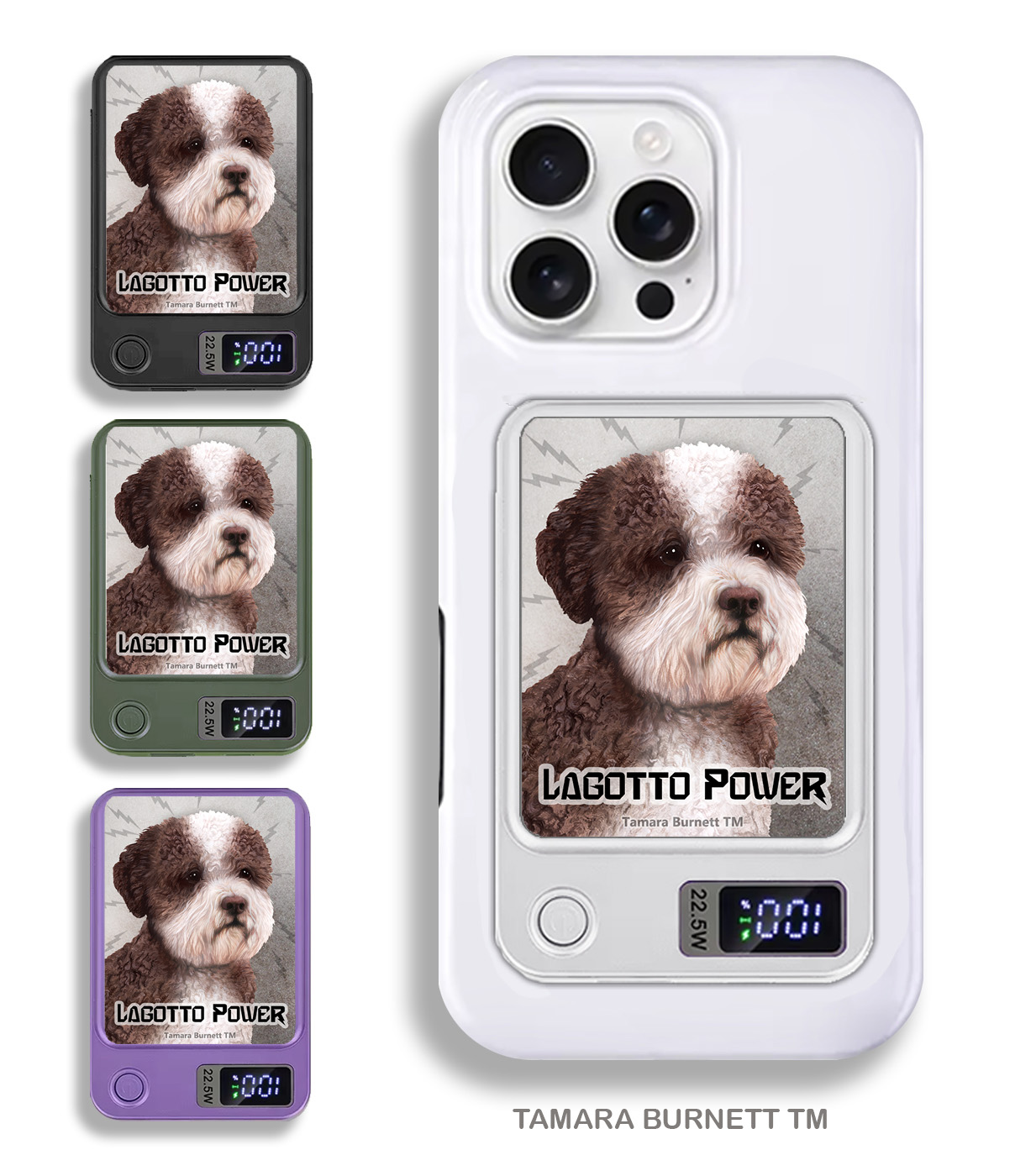 An image of product 33955 - Lagotto Romagnolo Brown and White - Phone Bank