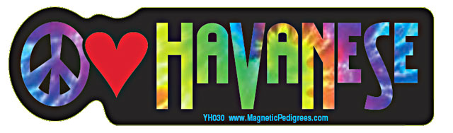 Peace Love Havanese - Yippie Hippie Bumper Sticker Image