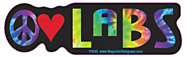 Decals and Stickers sample image