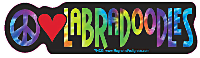 Decals and Stickers sample image
