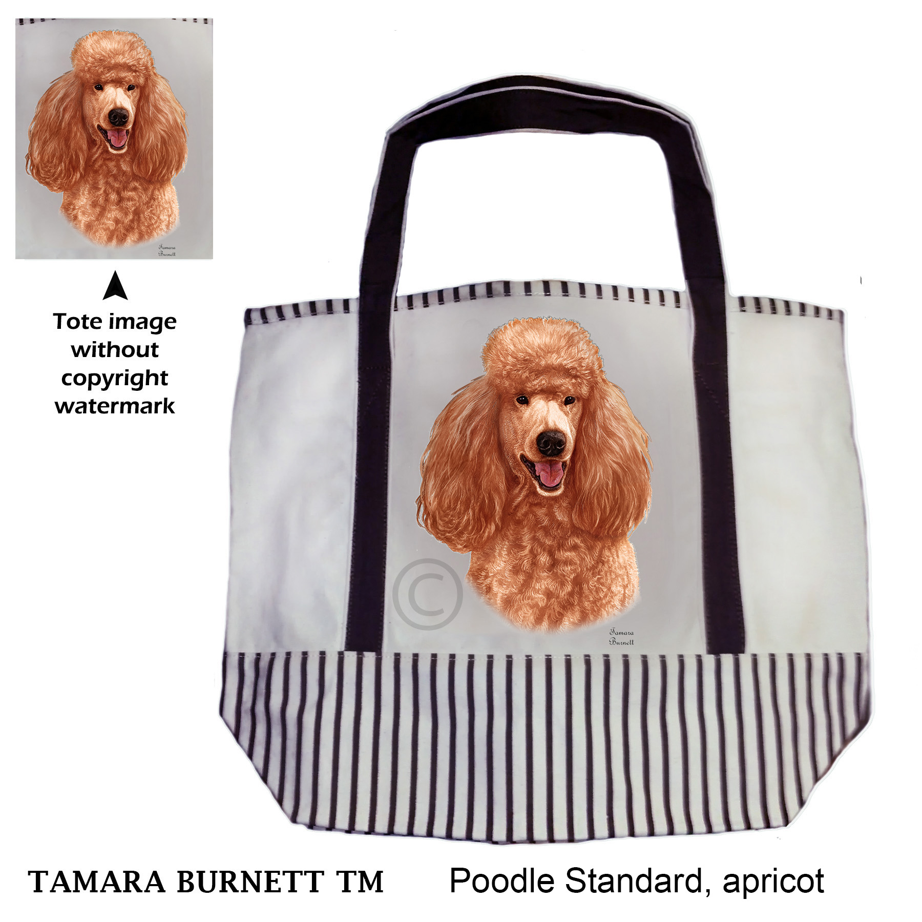 Poodle Standard Apricot Tote Bag image