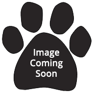 Catahoula Leopard Dog - Umbrella image