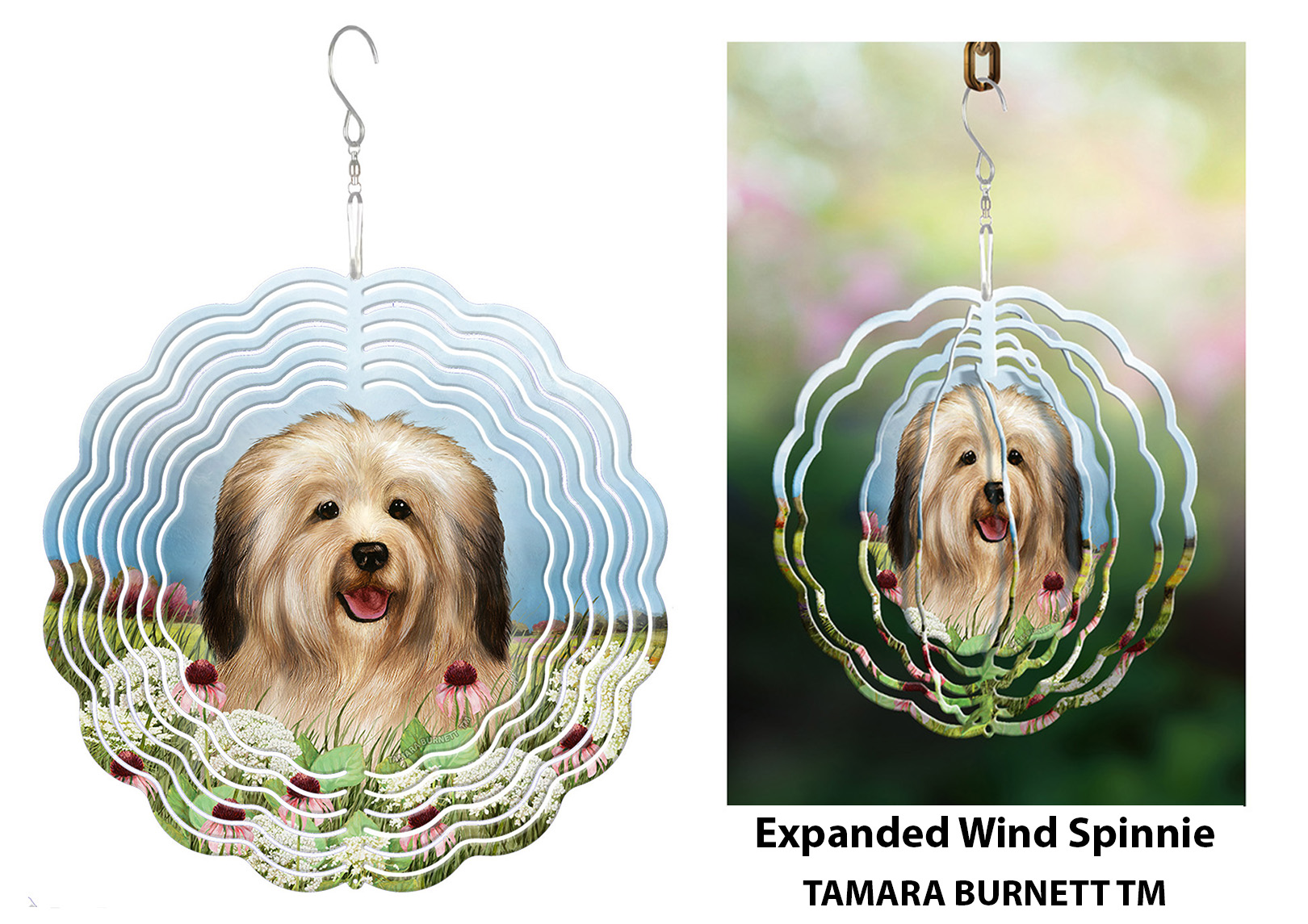 Havanese Cream Sable (Puppy) - Wind Spinner image