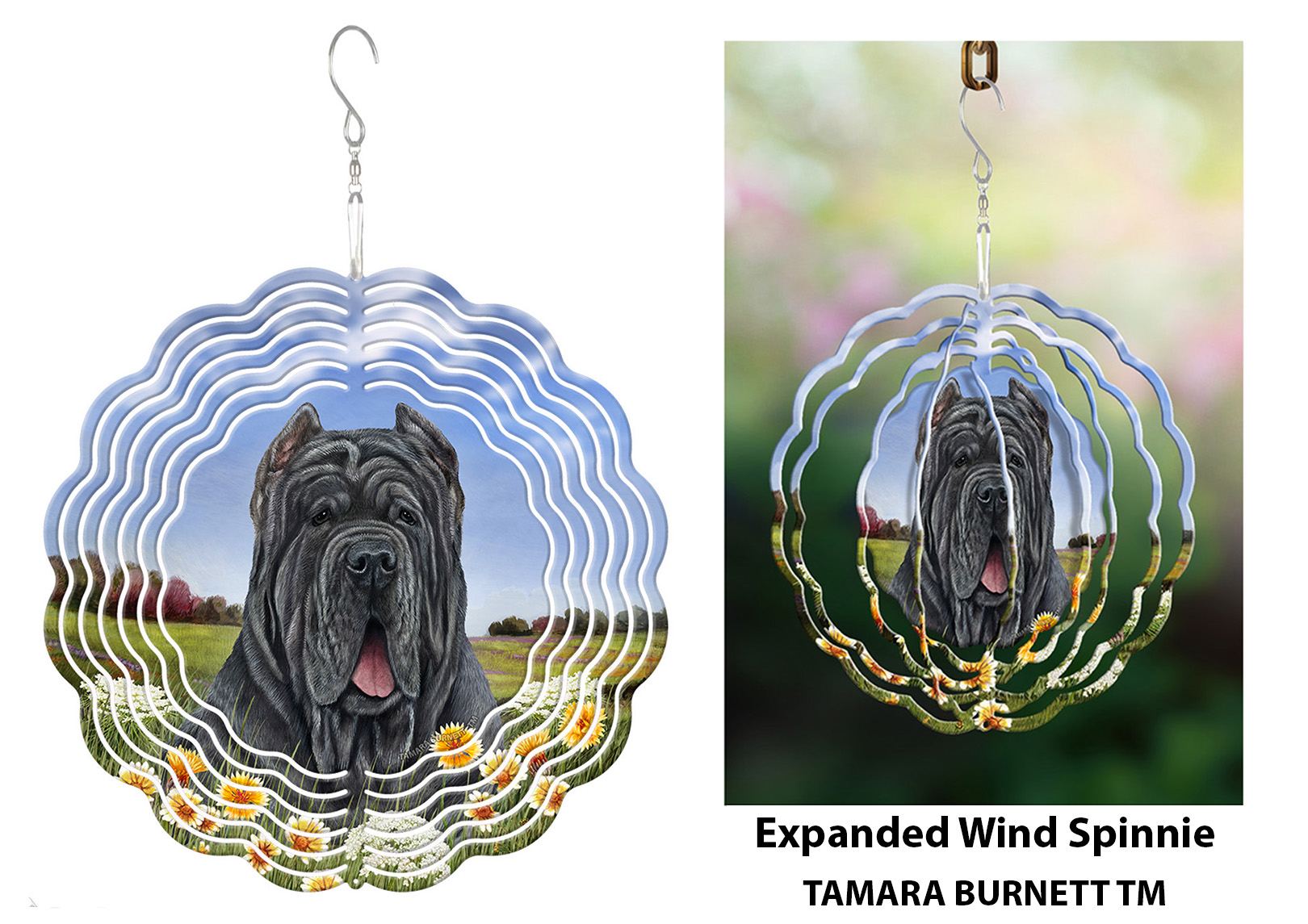 Neapolitan Mastiff Blue Cropped - Wind Spinner image