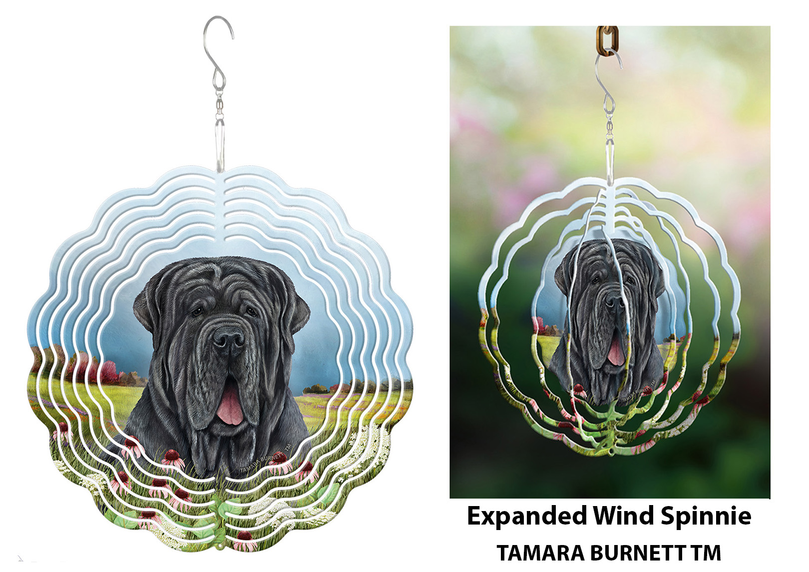 Neapolitan Mastiff Blue Uncropped - Wind Spinner image