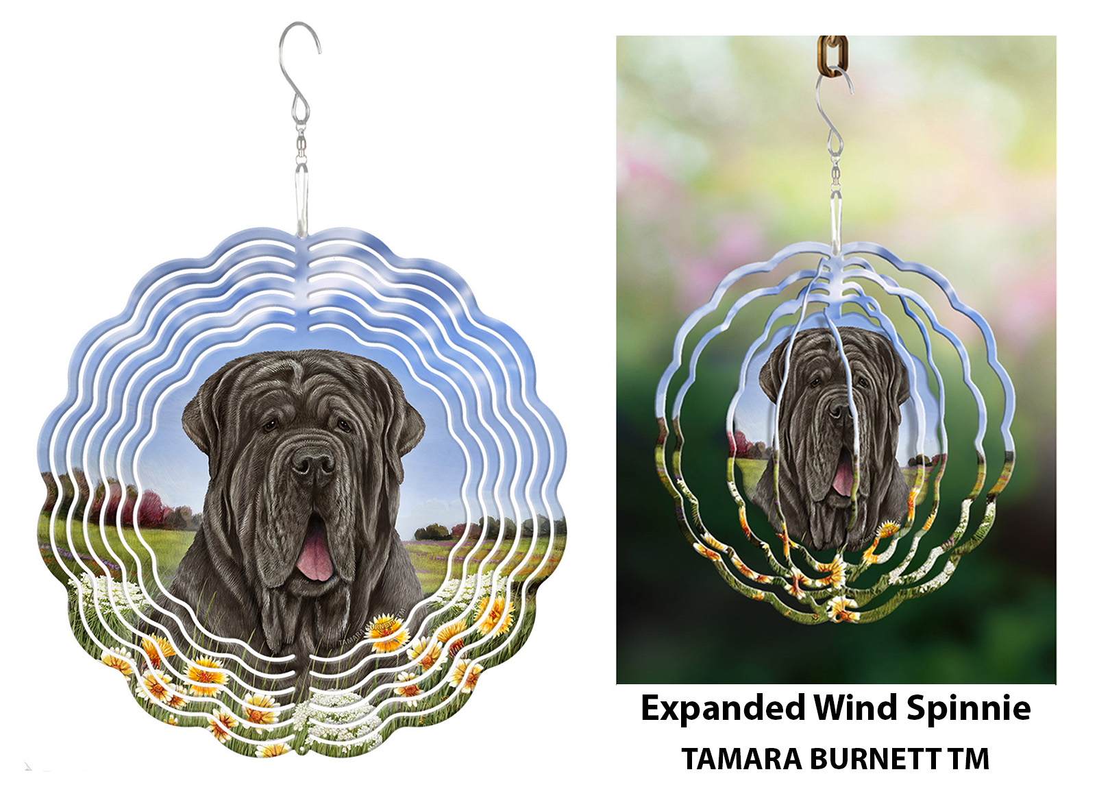 Neapolitan Mastiff Tawny Uncropped - Wind Spinner image