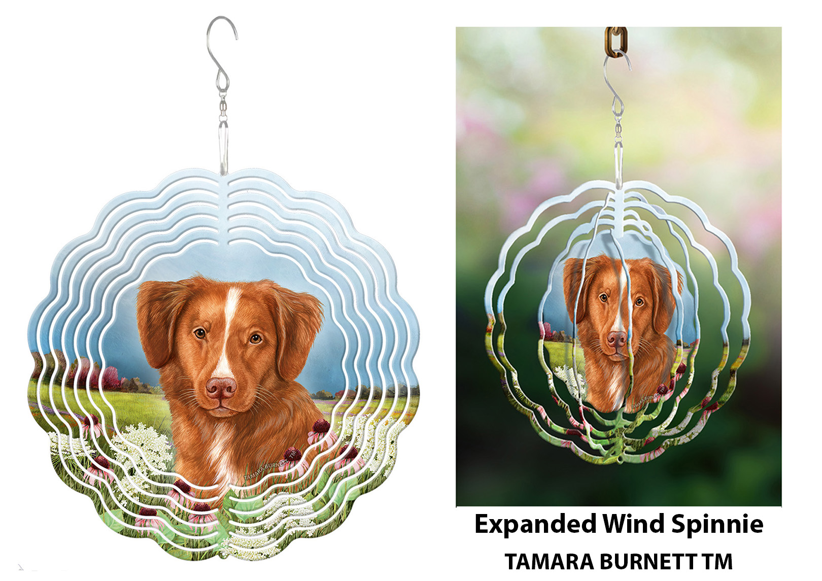 An image of product 30398 - Nova Scotia Duck Tolling Retriever - Wind Spinner