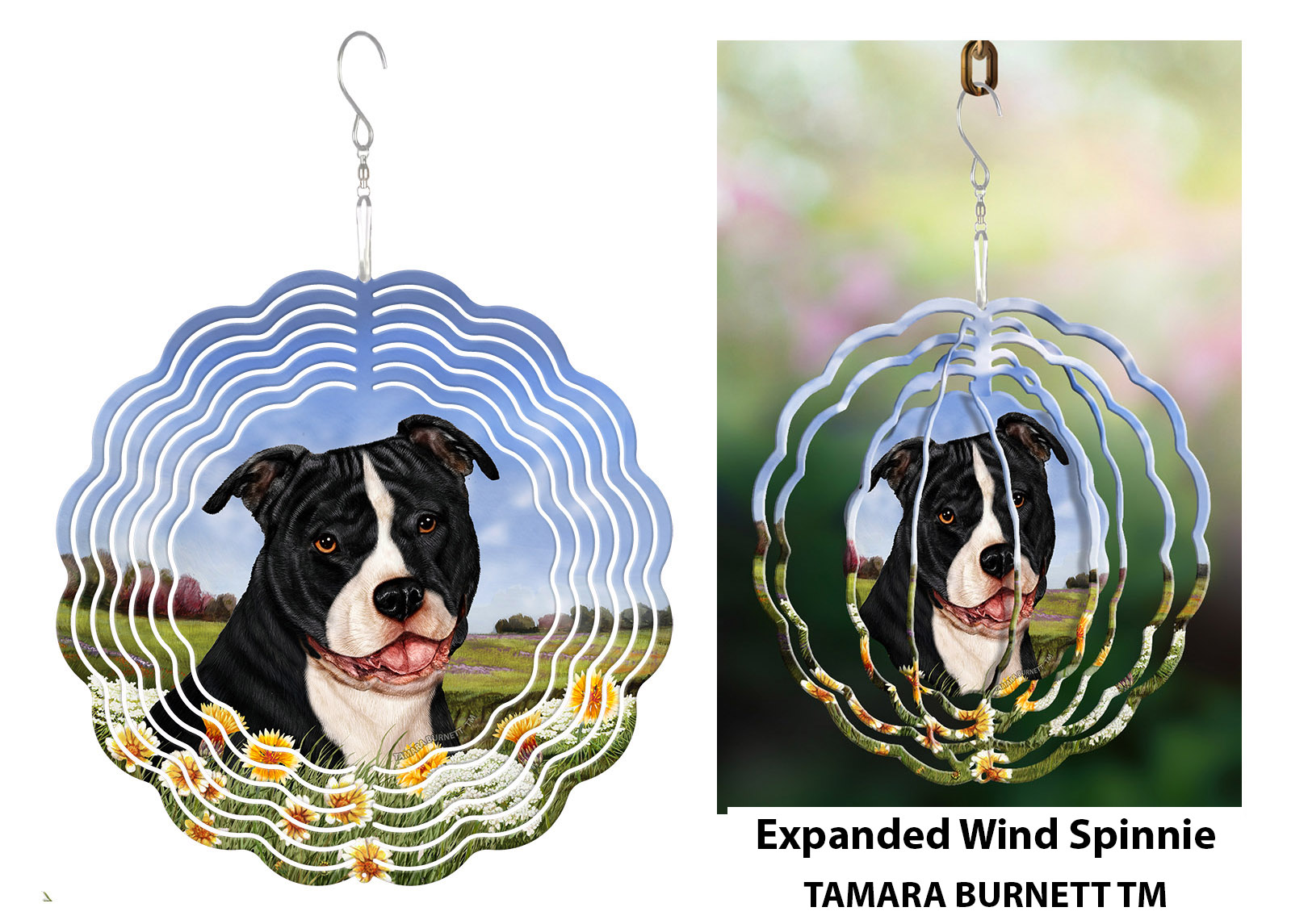 Pit Bull Black and White Uncropped - Wind Spinner image