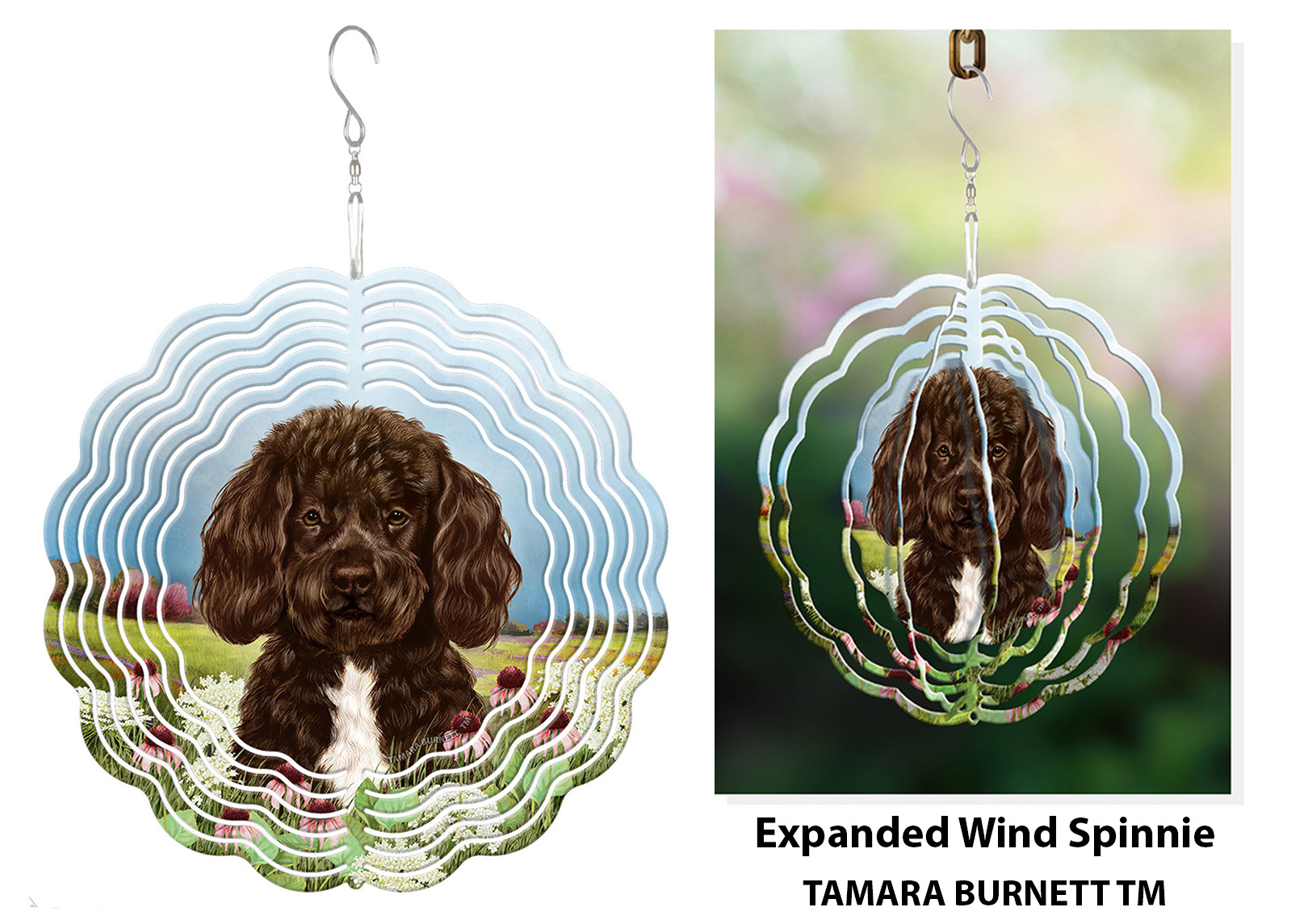 Portuguese Water Dog Brown and White Bearded - Wind Spinner image