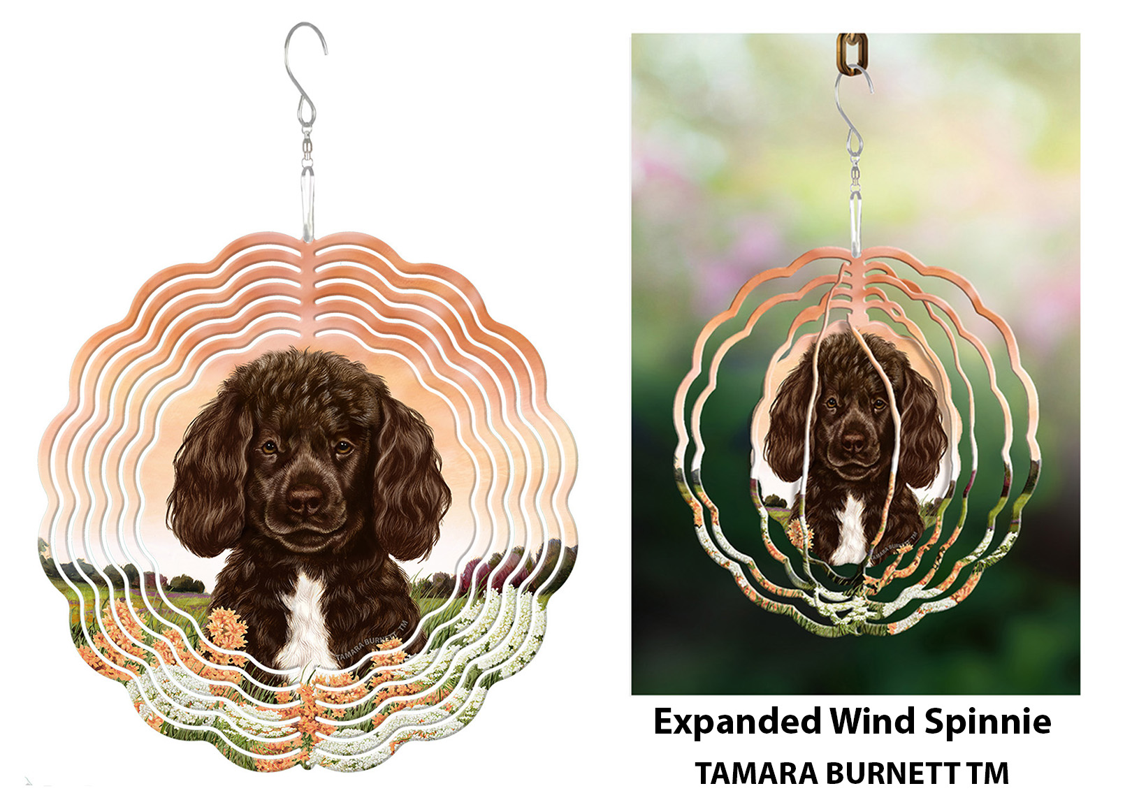 Portuguese Water Dog Brown and White Beardless - Wind Spinner image
