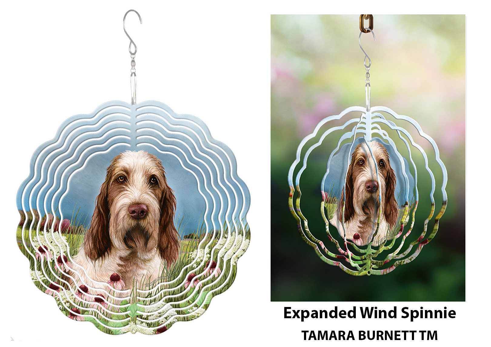 An image of product 30479 - Spinone Italiano Brown and White - Wind Spinner