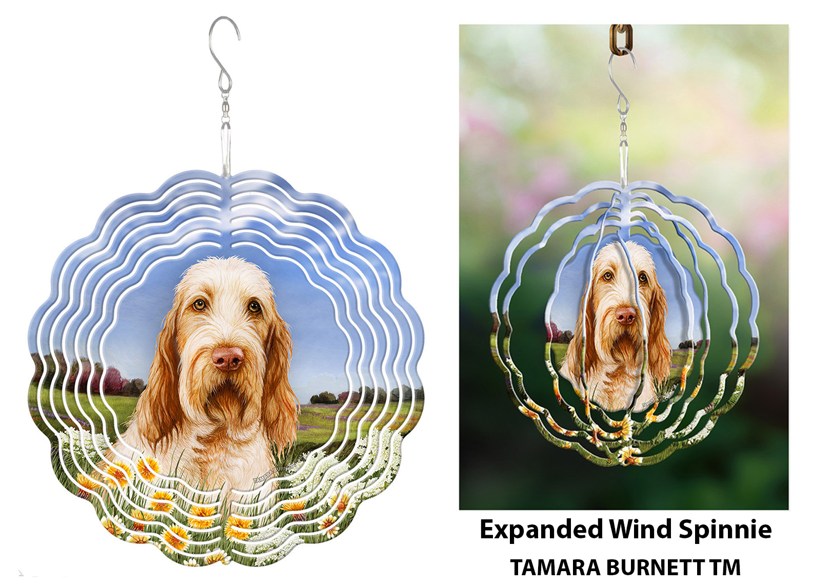 Spinone Italiano Orange and White - Wind Spinner image