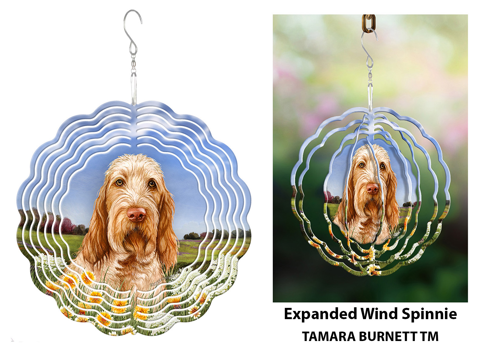 Spinone Italiano Orange Roan - Wind Spinner image